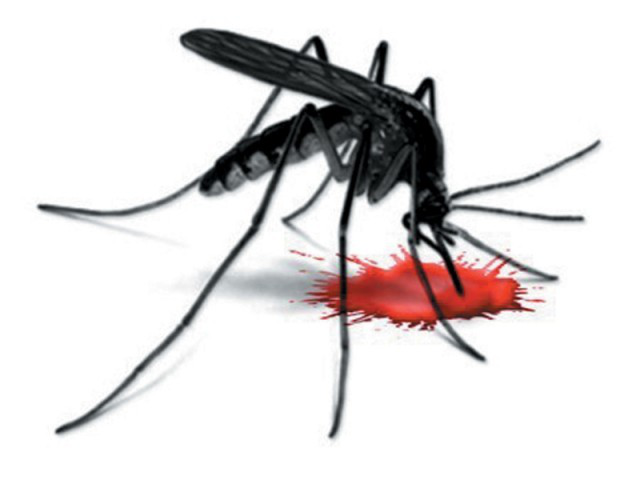 Dedetização de Dengue na Pompéia